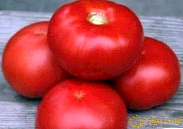 Características e descrición da variedade de tomate 
