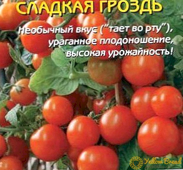 Karakteristik, karakteristik, avantaj ki genyen nan yon klas nan yon tomat 