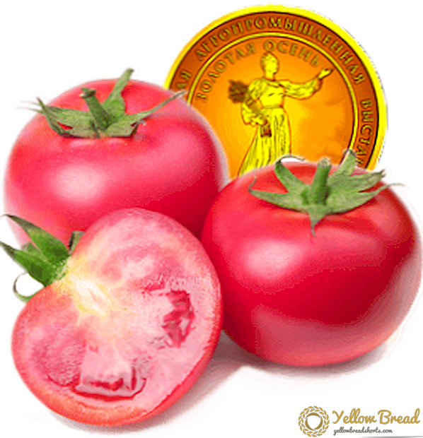 Ciri-ciri Tomato Emas yang sangat baik dalam siri Keajaiban Raspberry Emas