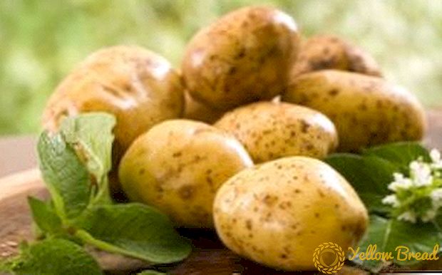Intsik superearly himala - patatas 