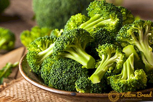 Feiner, schmackhafter und gesunder gebackener Broccoli - Rezepte für den Ofen