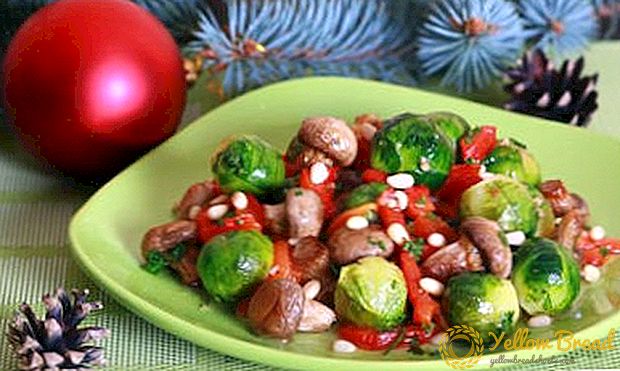 Lækker hjemmelavede salat opskrifter med brusselspirer