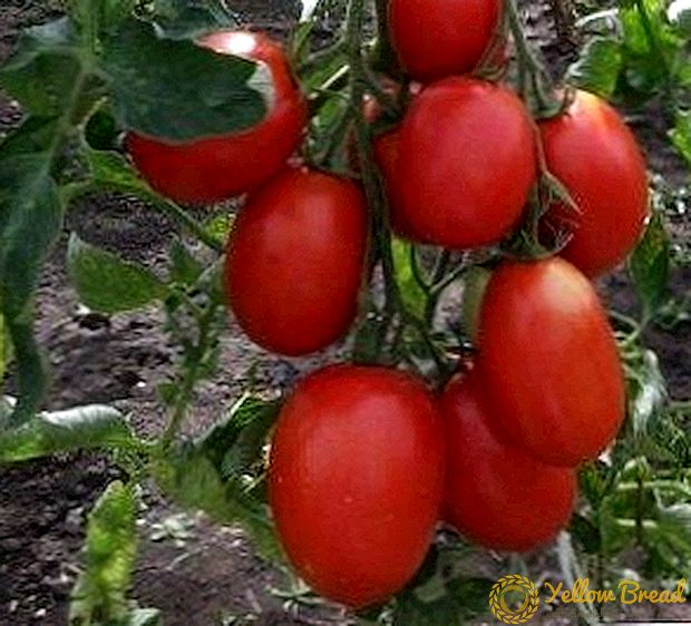 ٹماٹر کے سب سے زیادہ مزیدار قسموں میں سے ایک کی وضاحت اور خصوصیات - 
