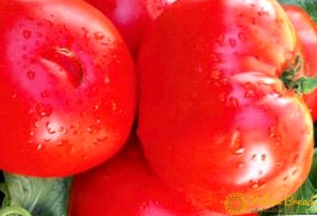 Beschrijving van de variëteit aan tomaten 