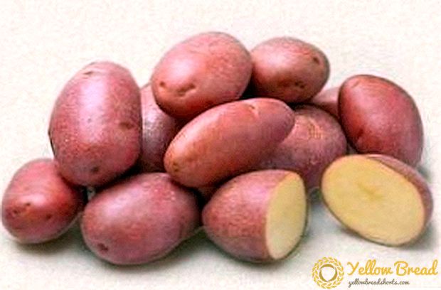 Nederlandse aardappel 