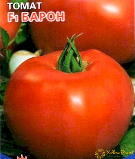 Рана сорта за почетници - барон домат: сорта опис, слика, карактеристики