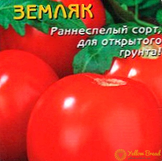 シベリアのおいしい挨拶 - 「カントリーマン」トマト：トマトの種類とその写真の特徴、特徴