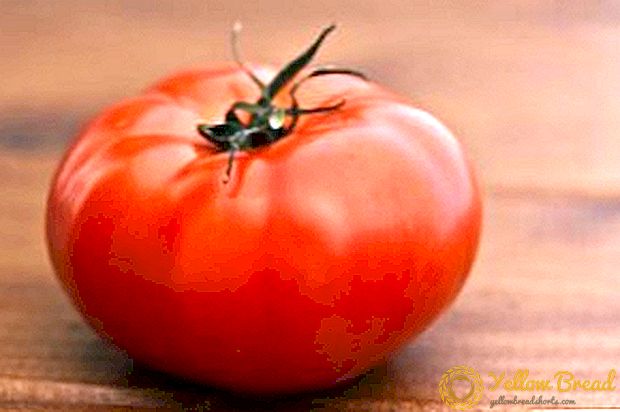 Favorite of raspberry color - “Giant Novikova” tomato: description of variety, photo