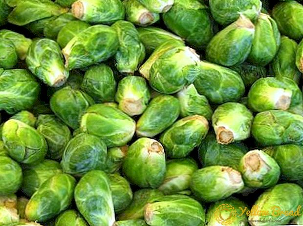 Five excellent options to cook in a slow cooker Brussels sprouts