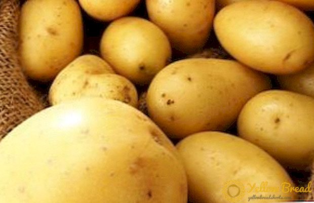 Hittebestendige aardappel 