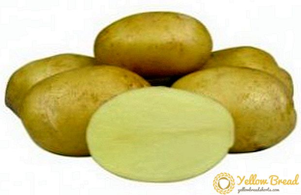 Hoogwaardige zaadvariëteit van aardappel 