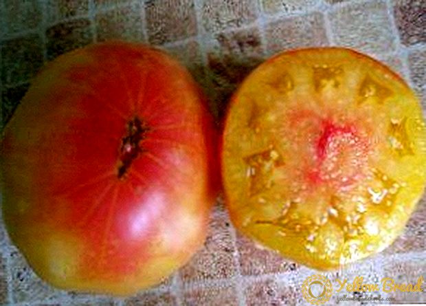 High harvest tomato with 