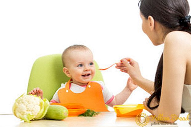 아기 음식을위한 아기 매시를 위해 콜리 플라워를 요리하는 방법과 얼마나 걸릴까요?
