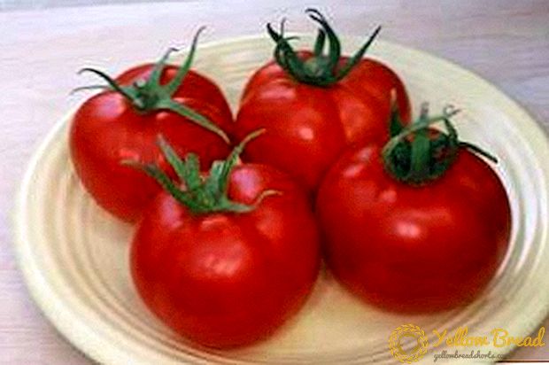 Хибриден домат 