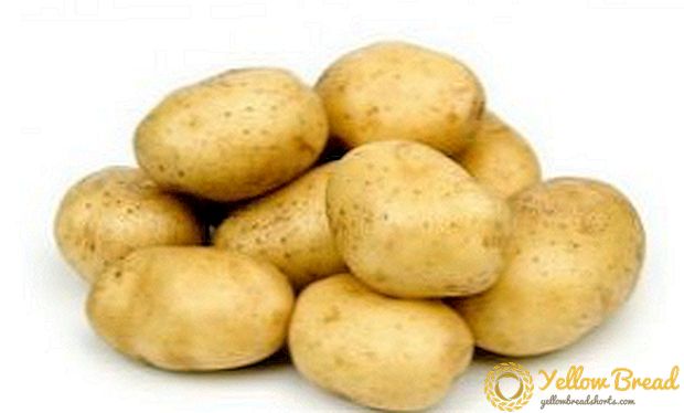 Early ripe potatoes 