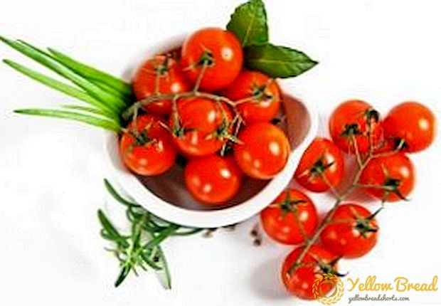 طماطم ذات غلة ثمار ذات إنتاجية عالية 
