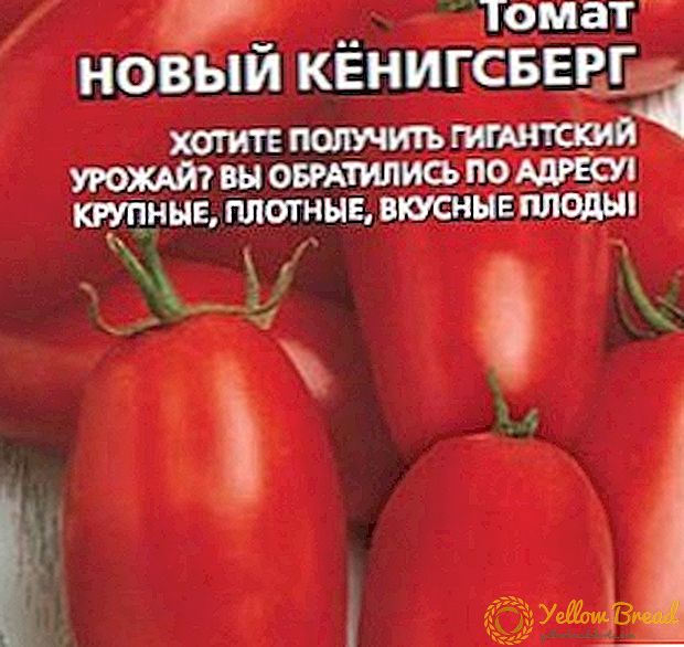 Storfruktet sibirisk tomat med et godt utbytte - Ny Königsberg - beskrivelse og egenskaper.