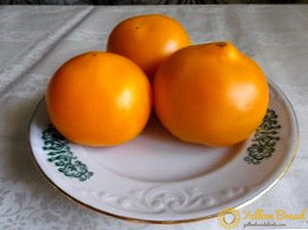 Suuri hedelmällinen ja maukas tomaatti 