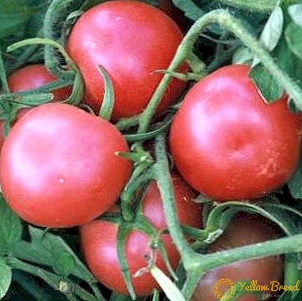 非カリカリとした実りのある - トマトの目立たない種類豊かな説明と特徴 