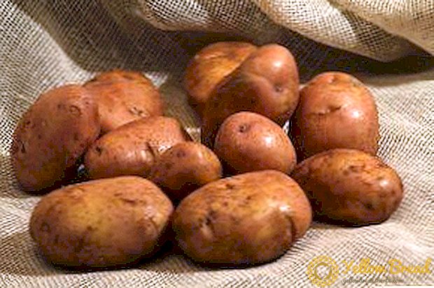 De echte prestatie van fokkers is de aardappelrassen van Serpanok: beschrijving, kenmerken en foto's