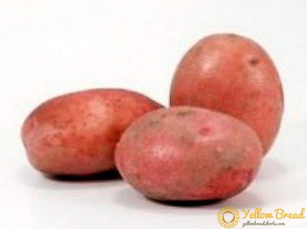 Bestendige aardappel 