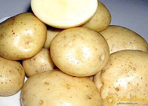 Populaire aardappel 