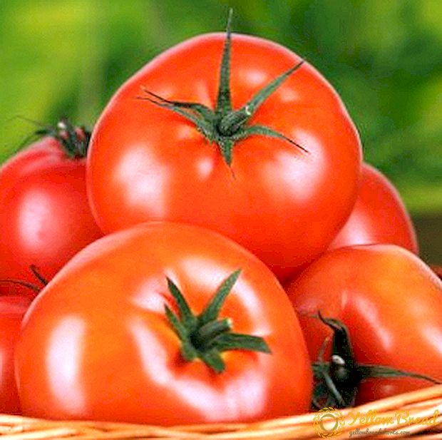 عالی عالی ترکیبی از گوجه فرنگی، برای کشت در مناطق مرکزی روسیه - 