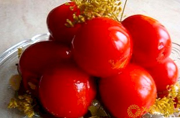 Рецепти за правење вкусни солени домати за зимата