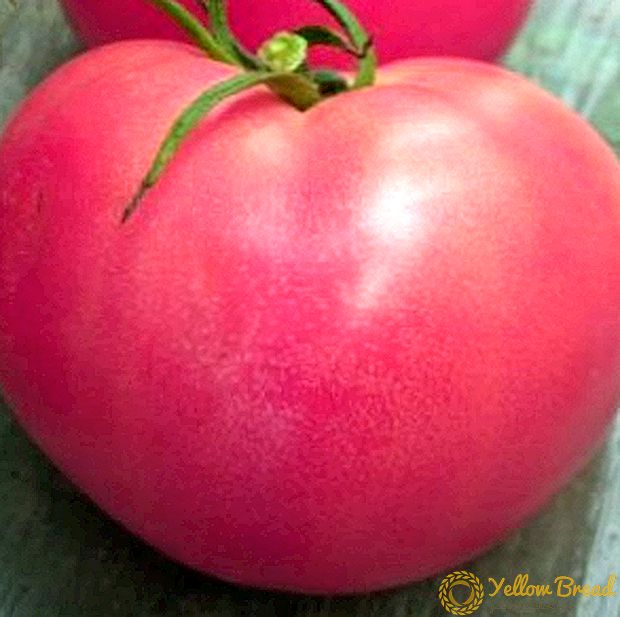 Романтичен домат 