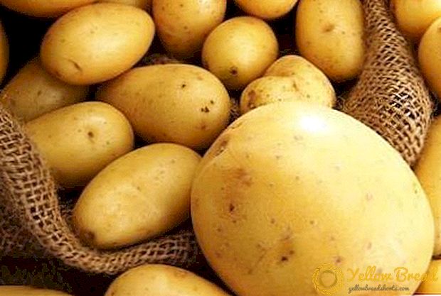 Russified Spaniard: ing negara apa padha pisanan miwiti kentang akeh?