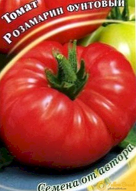 Büyük parlak meyveler neşe getirecek ve tadı asla unutmayacaksınız - domates çeşidinin tanımı “Biberiye pound”