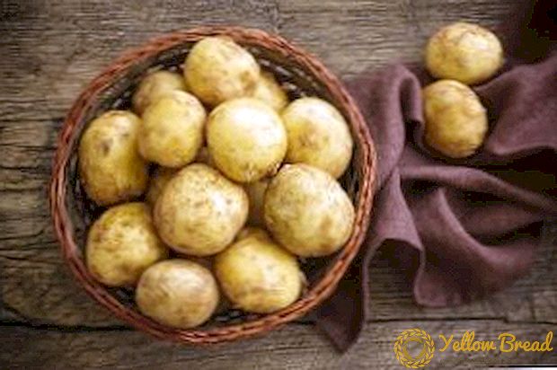 Strong and tasty variety of potatoes 