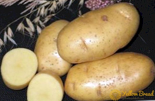 Succesvolle aardappel 