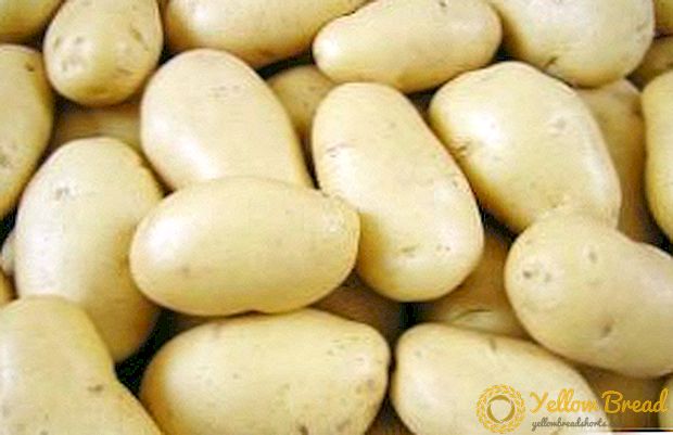 Superperly ו Super-Juweel תפוחי אדמה: תיאור מגוון וניואנסים חשובים כאשר גדל