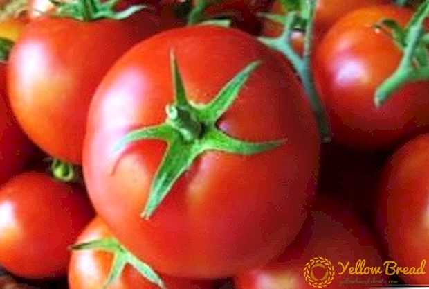 Super moderne hybride - tomaat 