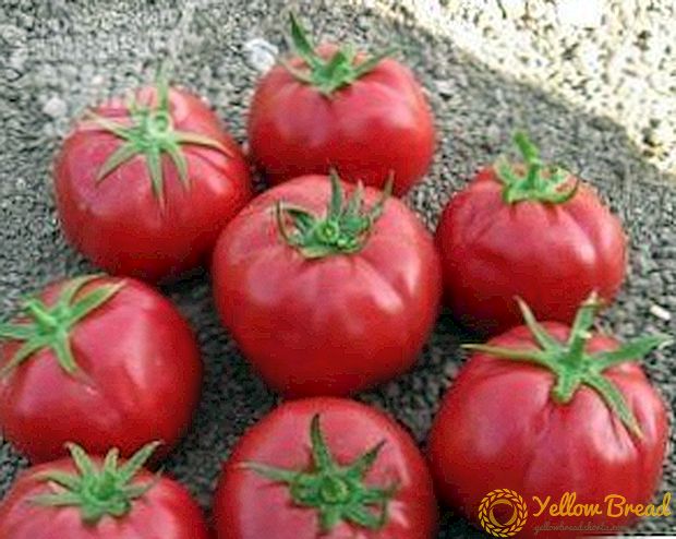 Toupatou menm ki menm gwosè ak tomat nan Rosaliz F1: varyete deskripsyon, rekòmandasyon kiltivasyon