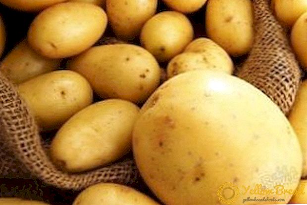Lekkere en mooie variëteit aan aardappel 