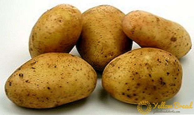 De nieuwste aardappel 