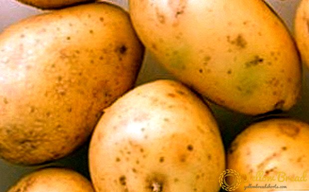 Ito, ang Belarusian potato 