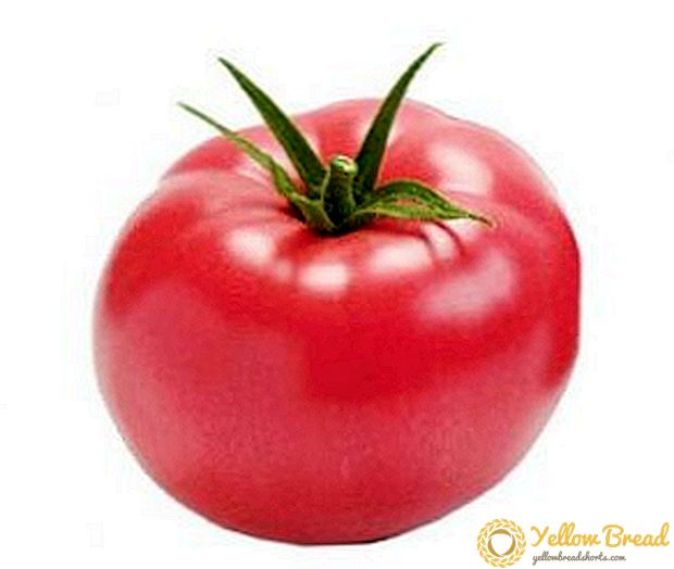 Recordhouder op uw bedden - tomaat 