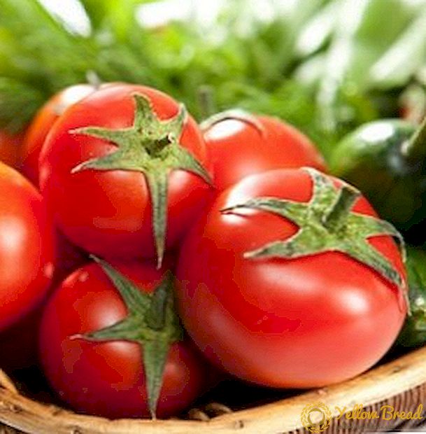 Unpretentious tomaat 