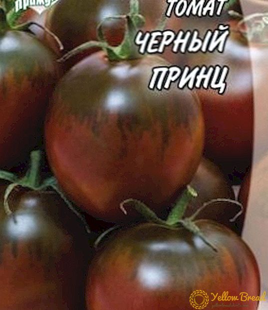ٹائم تجربہ کردہ سیاہ پرنس ٹماٹر: مختلف وضاحت، خصوصیات، کشتی، تصویر