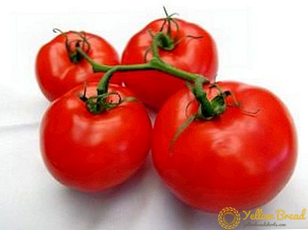 Fantastisk tomatsort Ultra Ultra Ripe F1: Egenskaper och beskrivning av en tidig mogen växthus tomat, foto av mogen frukt