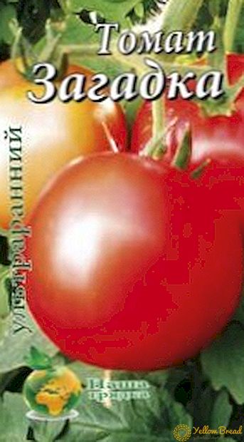 Riddle tomat sort: egenskaper, beskrivning och foto av ultra-tidig tomat