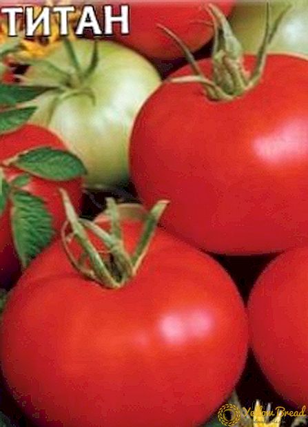 Yon tomat ki ka grandi sou balkon la - yon varyete de tomat 
