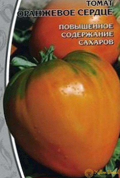 アレルギートマト - オレンジハートトマトバラエティ：写真、説明と主な特徴