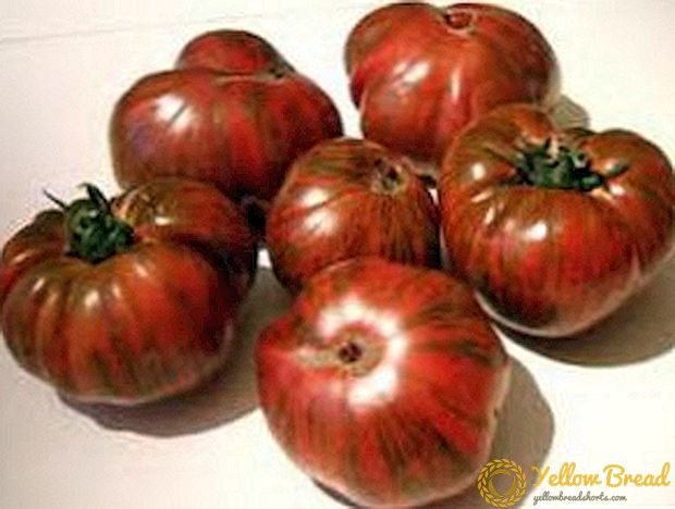 Ainutlaatuinen ja ikimuistoinen tomaatti 
