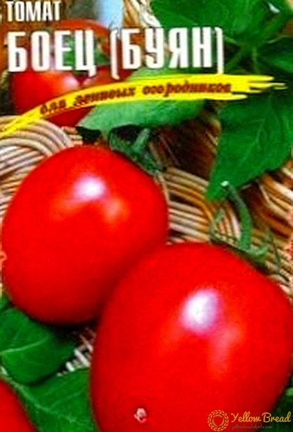 Universal Siberi - erinevad tomatid 
