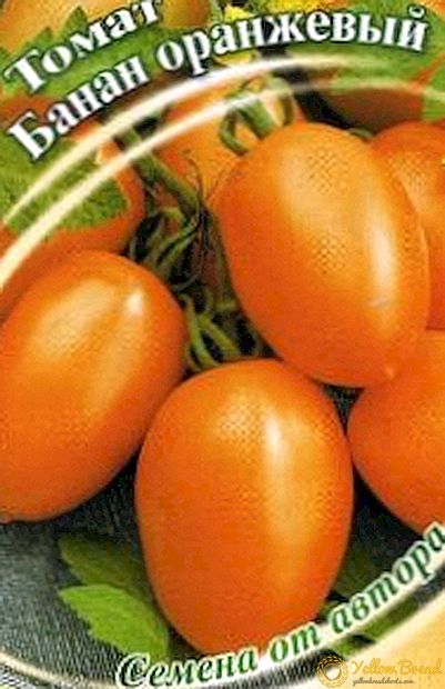 Uvanlige gjester i sengene dine - tomater 