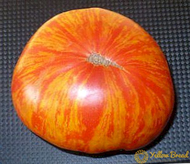 Tomatoes with extraordinary coloring, originally from the USA - 